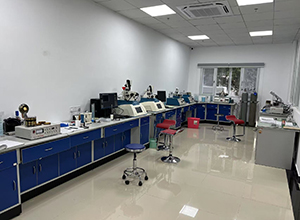 Tometal inspection equipment 2